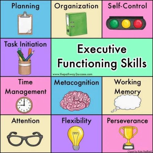 behavior-byte-executive-functioning-skills-help-students-every-day-in-outside-of-the-classroom